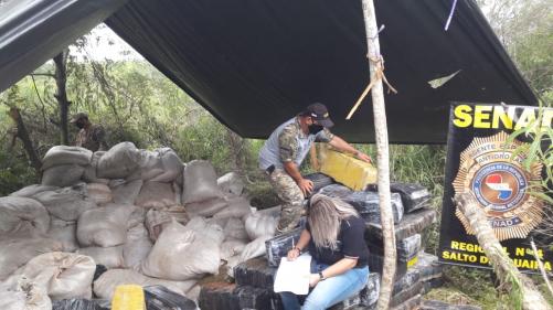 Incautaron más de 8 toneladas de Marihuana en campamento narco